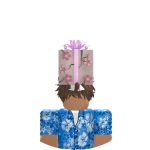 @mxrz19 Roblox avatar