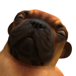 @swordo12345