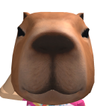 @ksdrgmas