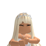 @zveilss
