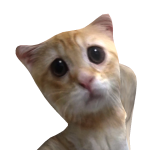 @Asphalt_Aesthetic