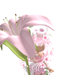 @asp3nq