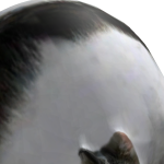 @Wunkin2000