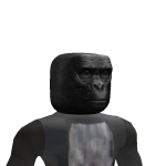 @chasemp222