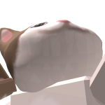 Haw