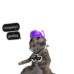 @boydev1444