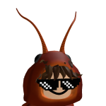 @MAKSOLINDOOOOO
