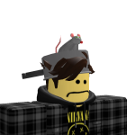 @catrobot2434
