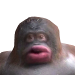 @xD3aD1yx