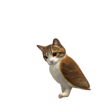 @kilercat23