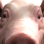 @ChefRatTheFat