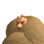 @SpiritzOnRoblox