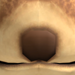@S4GESW0RLD