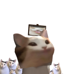 @kedi3188