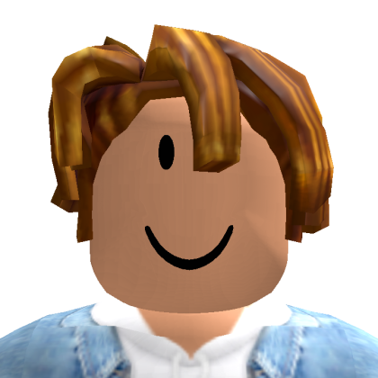 Roblox profile picture for @jjtk123