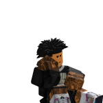 @flashblox24