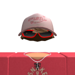 @WarrSwisher