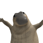 @andrestomas