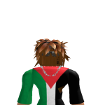 @PalestinyX