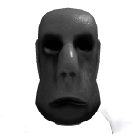@Rojanthemaster124