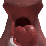 @RoblovskyNubintrov