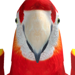 @KingOfAllDuckss