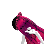 Ryuga