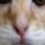 @zerg26