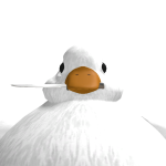 @HUFFLRPUFFLR