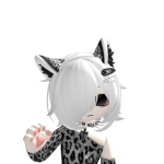 @mudry11