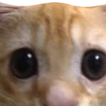 @Blue_YT000