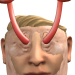 @chubbyb0ts