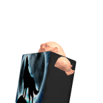 person409448rj