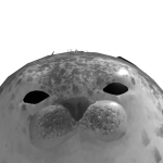 Awiii