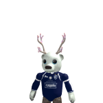 @AronPlayer2020