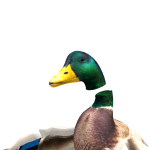 @AlvinRobloxxx