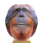 @samparko9999