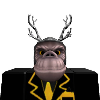 V0rtex55