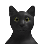 @bindle0