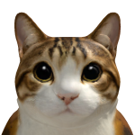 @xenight