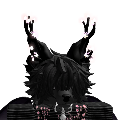 5coco1