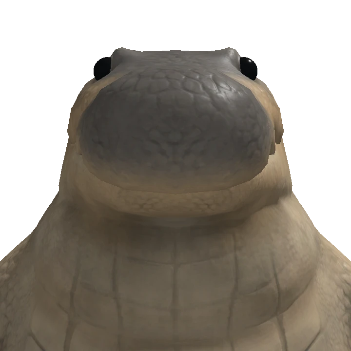 Backflipguy404's avatar