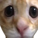 @AvaQuaver1346