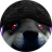 WackyMrmoocows