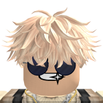 @Steakybloxsnot