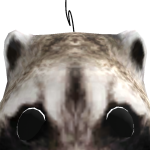 @kruger_kittycat