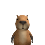 @Miguel12344719