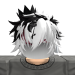 @Kuroichix