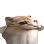 @ilikecats46