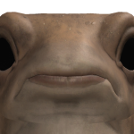 @bl00dy_d0llz